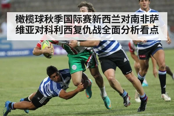 橄榄球秋季国际赛新西兰对南非萨维亚对科利西复仇战全面分析看点